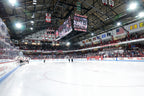 Northeastern Huskies Game-Used Hockey Helmet – No. 28