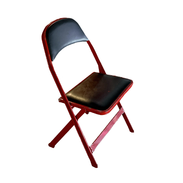 Matthews Arena Padded Folding Chairs