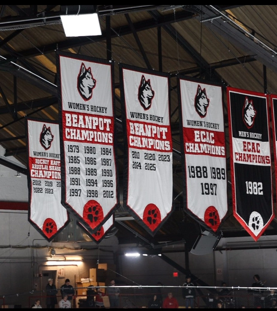 Matthews Arena Banner Bags - Beach Bag Edition