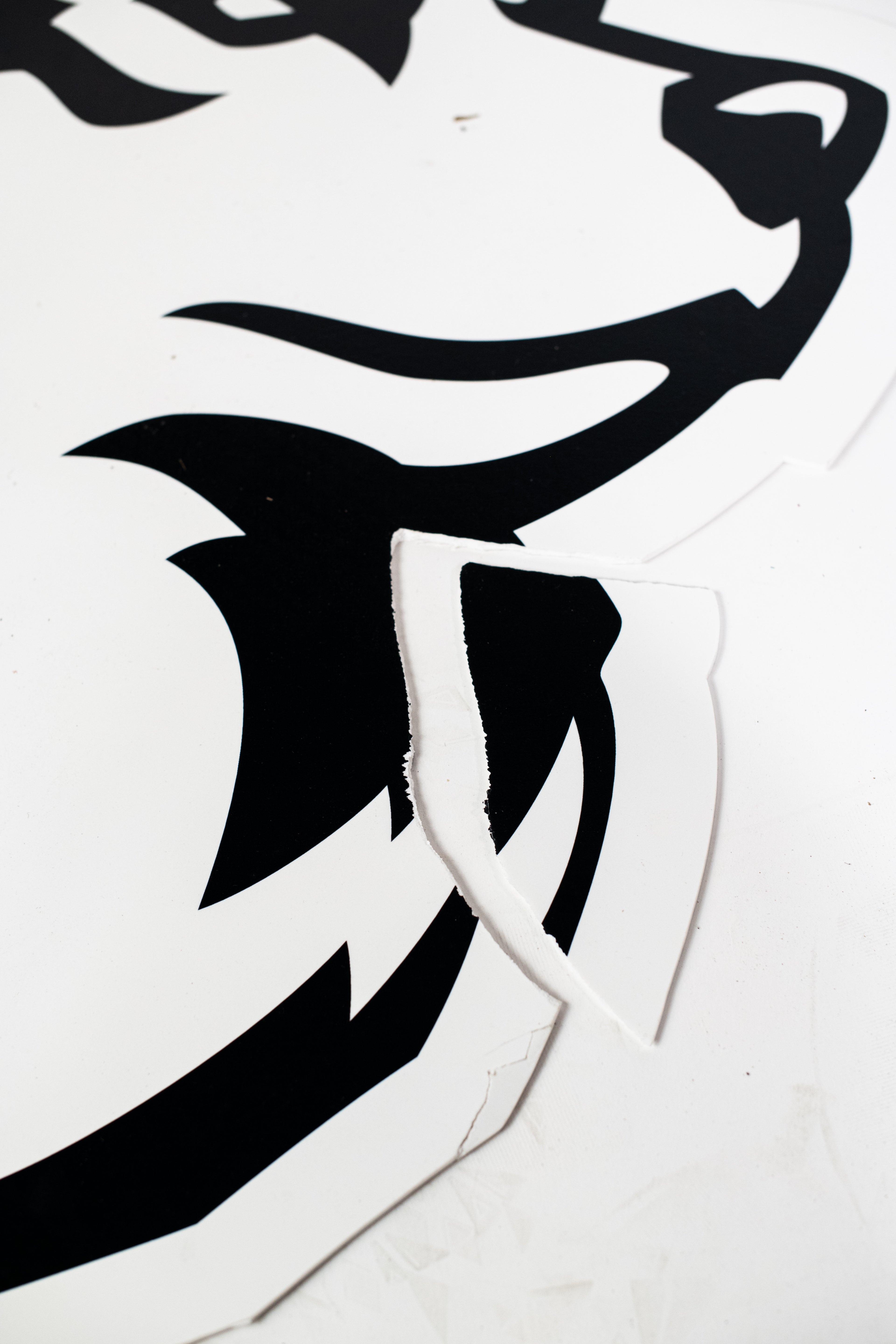 Auction Item: Women’s Husky Logo From Locker Room Door