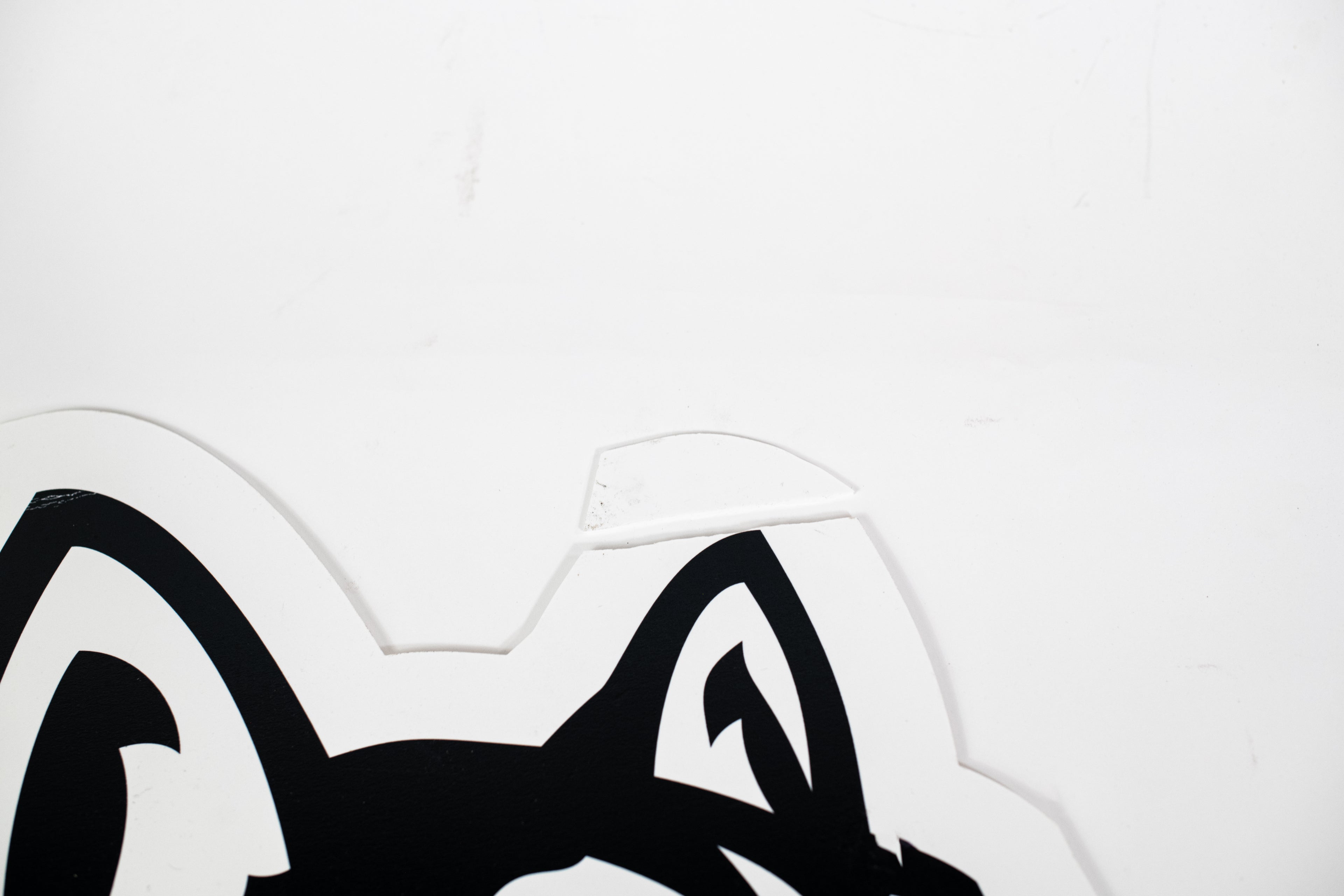 Auction Item: Women’s Husky Logo From Locker Room Door